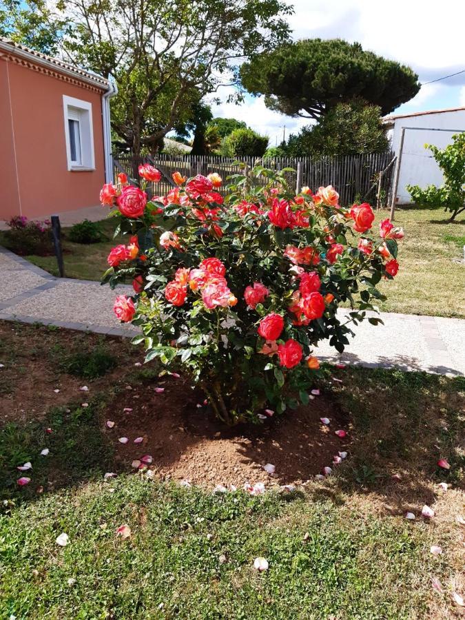 Appartement Independant A 10Min Des Plages Au Calme Proche O'Gliss Et O'Funparken Campagne La Jonchere ภายนอก รูปภาพ